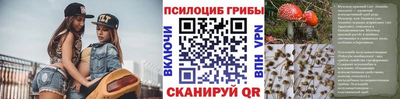 Галлюциногенные грибы Cubensis  ОМГ ОМГ ССЫЛКА  Рязань  наркошоп 